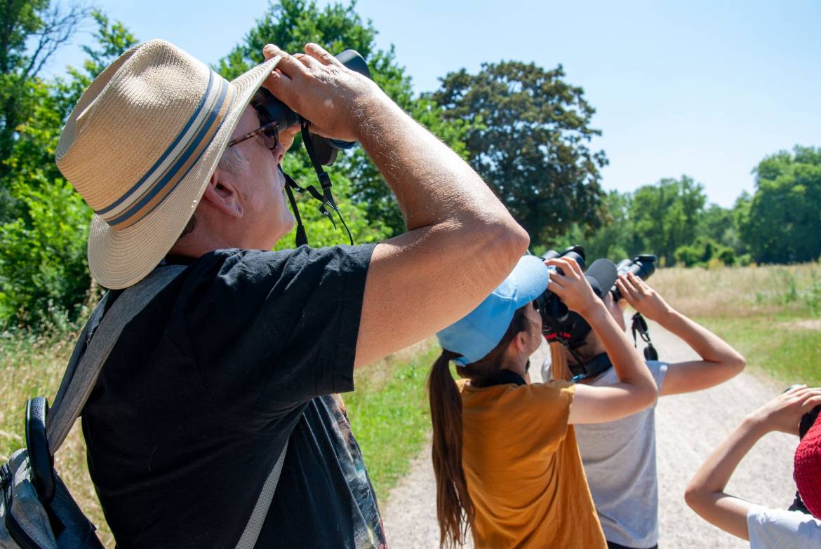 Accompagnés de la Ligue de Protection des Oiseaux (LPO), c’était l’occasion de découvrir en direct les oiseaux peuplant le parc.